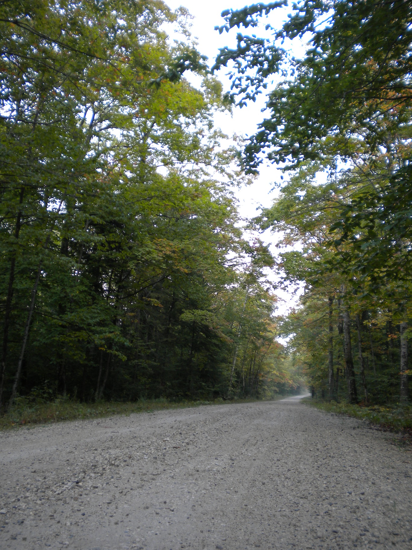 michigan01.jpg
