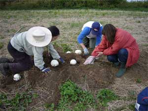 mound_excavate1.jpg