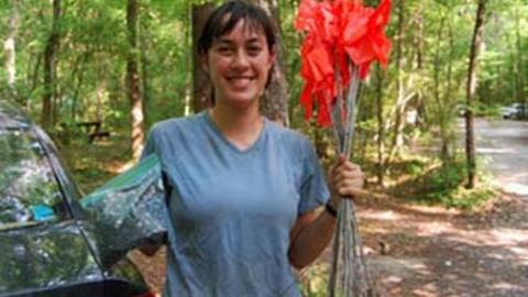 emily_flags.jpg