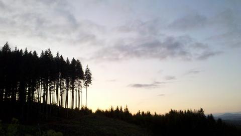 oregon01.jpg