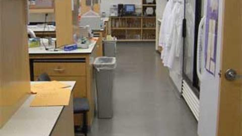 the_lab.jpg