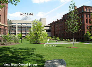 links_mcz_labs