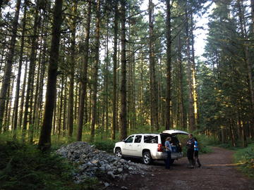 car_in_woods