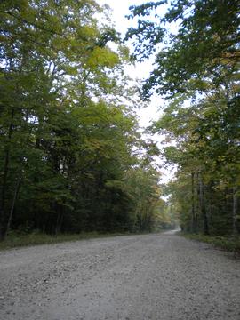 Michigan01
