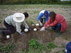 mound_excavate1