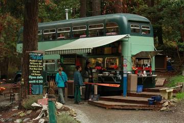 saturna_bus