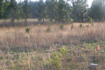 sc_field