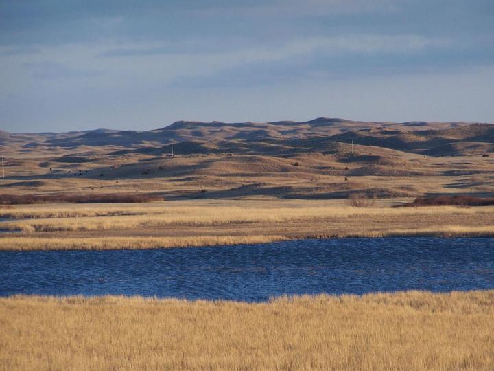 sand_hills