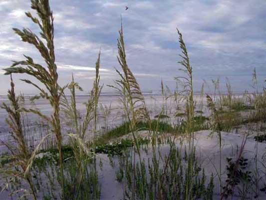 ConchIsland2