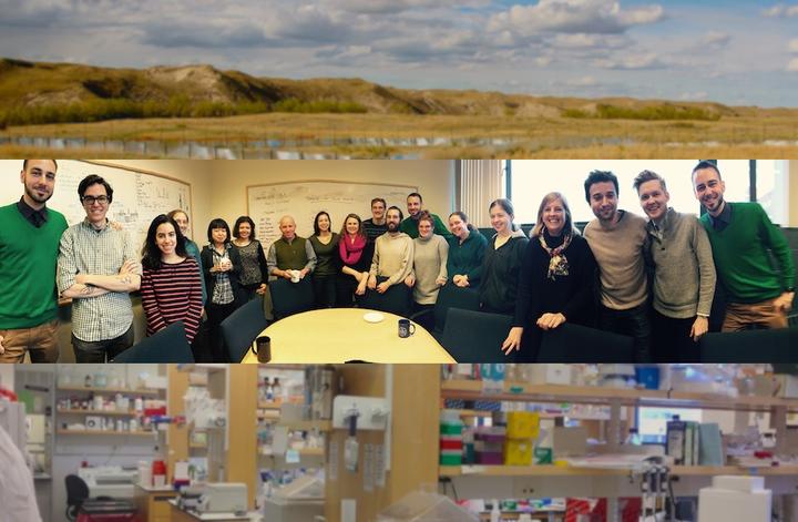 The Hoekstra Lab