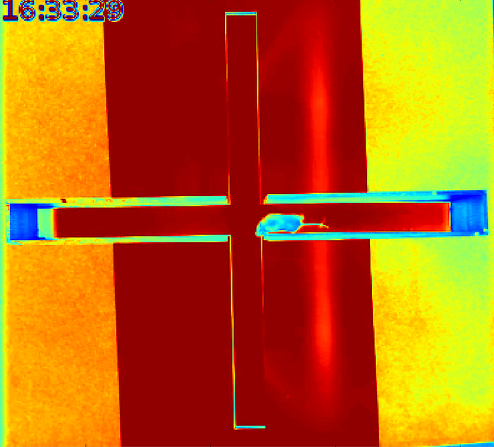 Quantifying Natural Variation